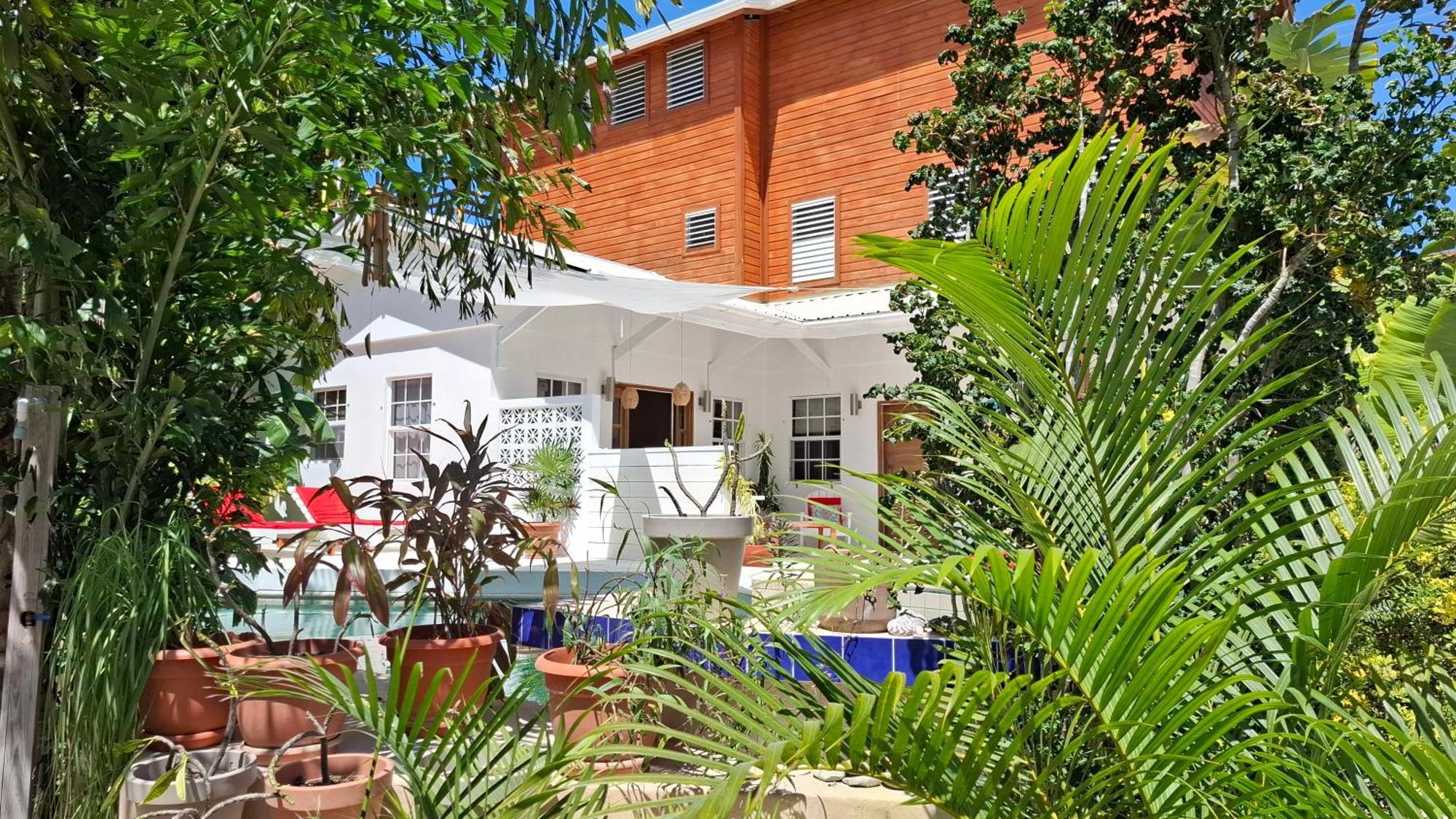 Amanda's Studios - pool&tropical garden Cayo Caulker Exterior foto