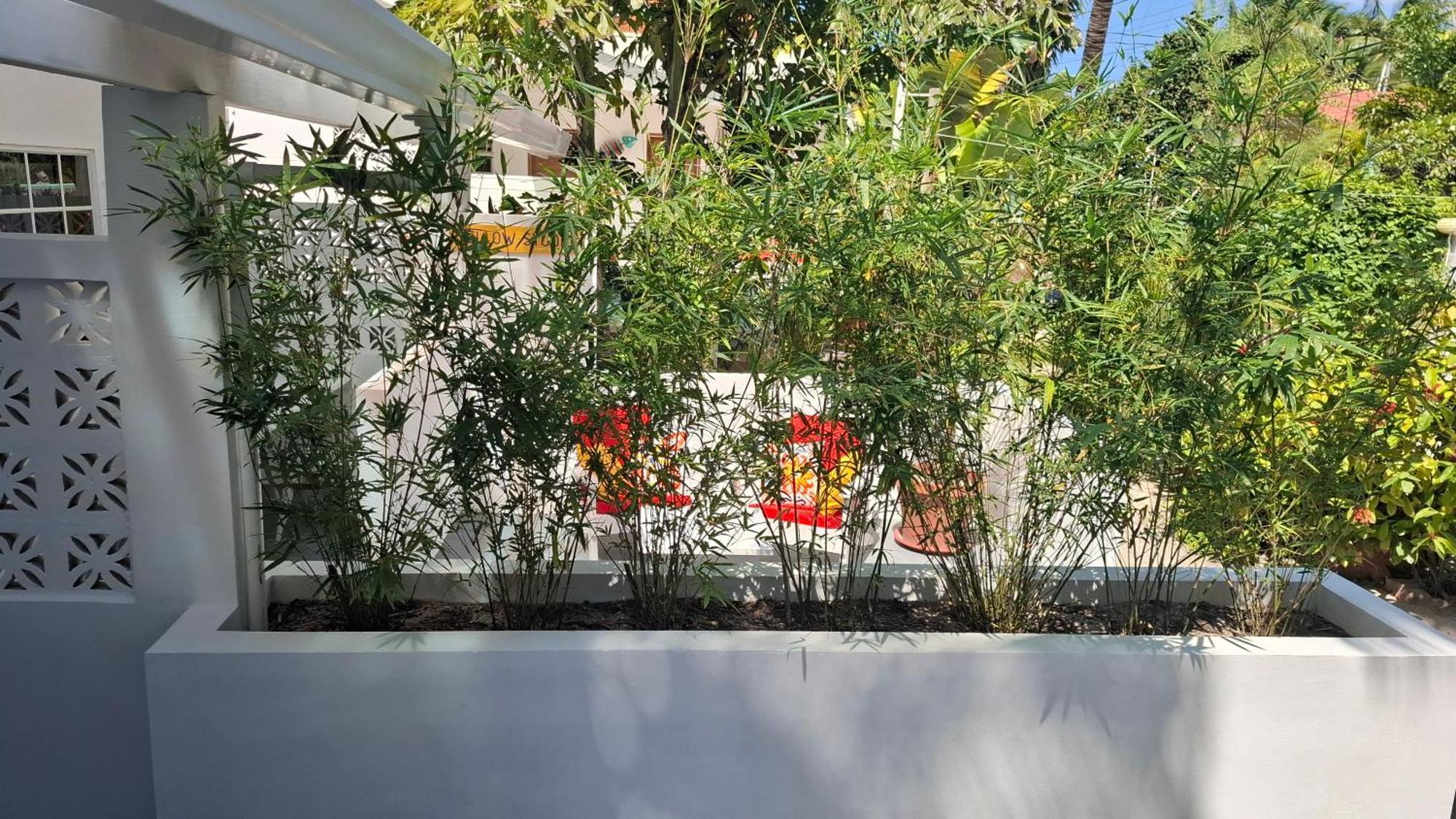 Amanda's Studios - pool&tropical garden Cayo Caulker Exterior foto