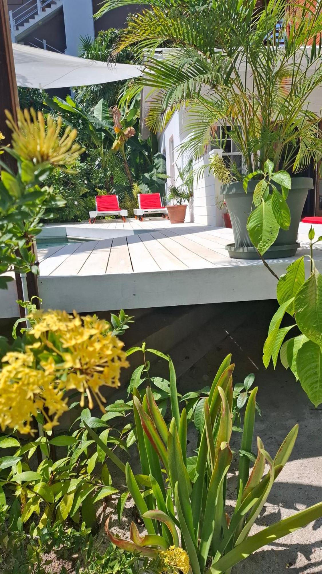 Amanda's Studios - pool&tropical garden Cayo Caulker Exterior foto