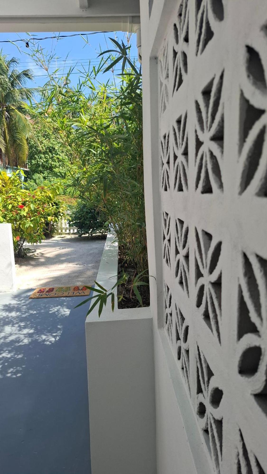 Amanda's Studios - pool&tropical garden Cayo Caulker Exterior foto