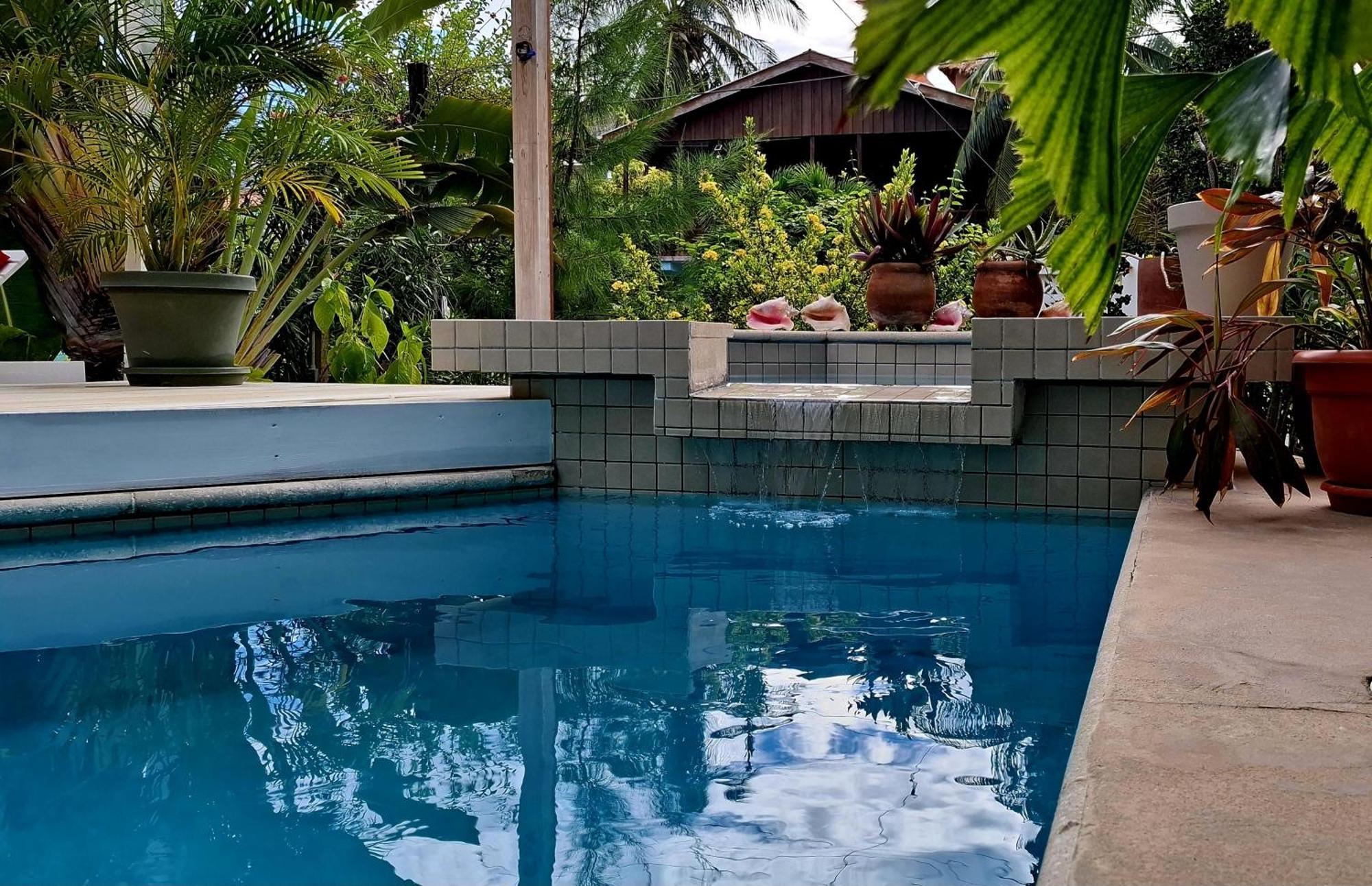 Amanda's Studios - pool&tropical garden Cayo Caulker Exterior foto